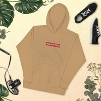 Embroidered Analytics Hoodie