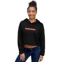 Embroidered Programmatic Crop Hoodie