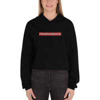 Embroidered Programmatic Crop Hoodie