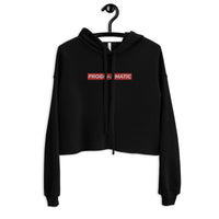 Embroidered Programmatic Crop Hoodie