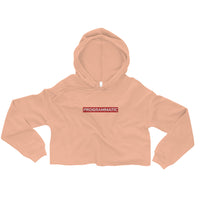 Embroidered Programmatic Crop Hoodie