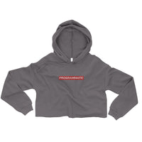 Embroidered Programmatic Crop Hoodie